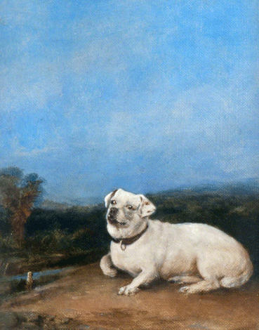 'Pat', Regimental Dog of the 72nd  .e.b. 1887. dogs cemetery edinburgh castle